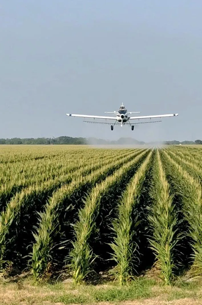An Agri-Land Aviation aircraft flying low over rows of corn